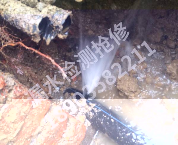 自來水管網普查